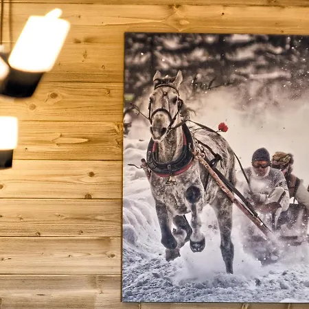 Appartamento Visitzakopane - Tatra *