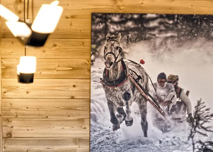 Apartmán Visitzakopane - Tatra *